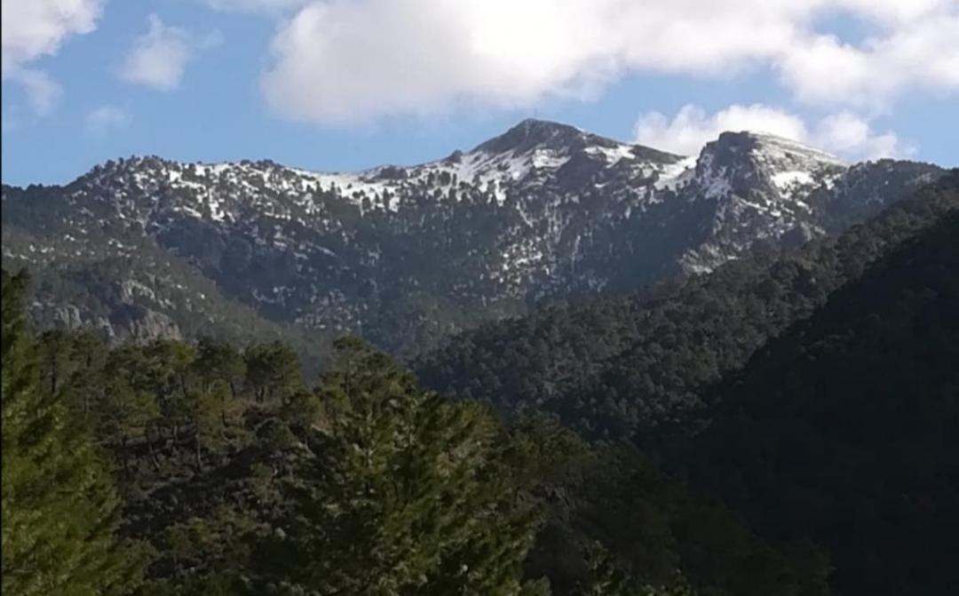 Casa Rural La Piedra Del Cambron Villaverde De Guadalimar Bagian luar foto