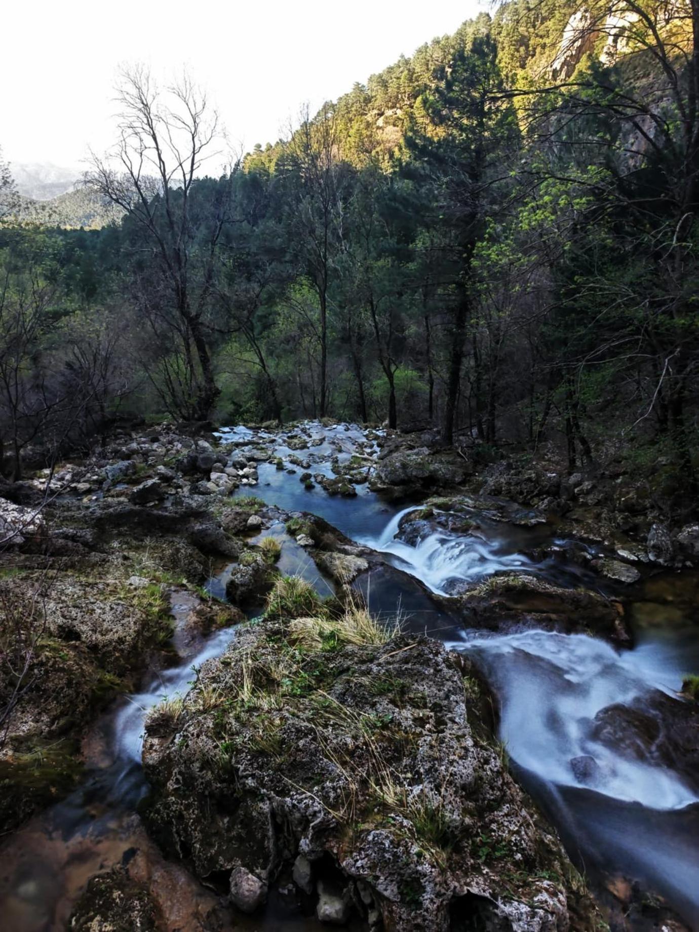 Casa Rural La Piedra Del Cambron Villaverde De Guadalimar Bagian luar foto
